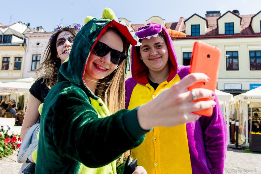 Studenci Politechniki Rzeszowskiej, WSPiA i WSIiZ rozpoczęli...