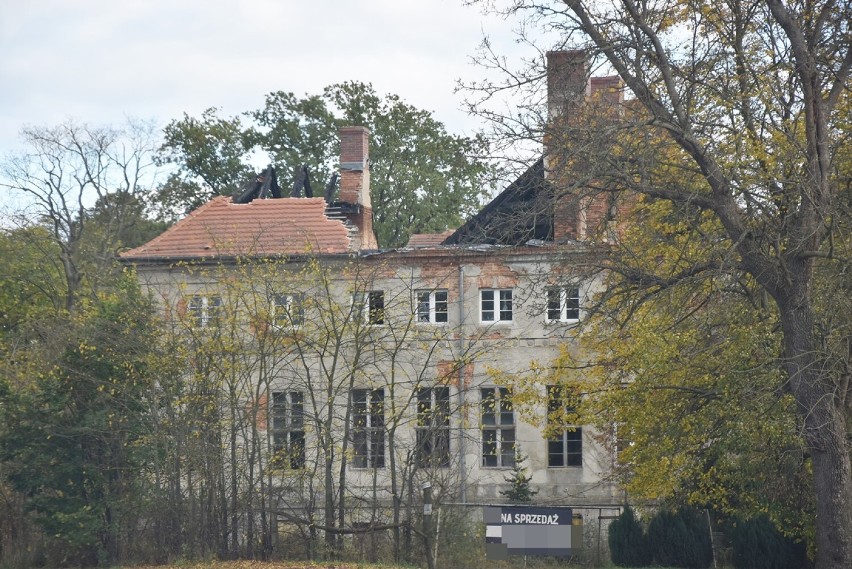 Zabytkowy pałac w Sieroszowicach jest na sprzedaż