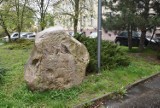 Ktoś ukradł tablicę z pamiątkowego głazu na skwerze Andrzeja Kosmalskiego w Głogowie