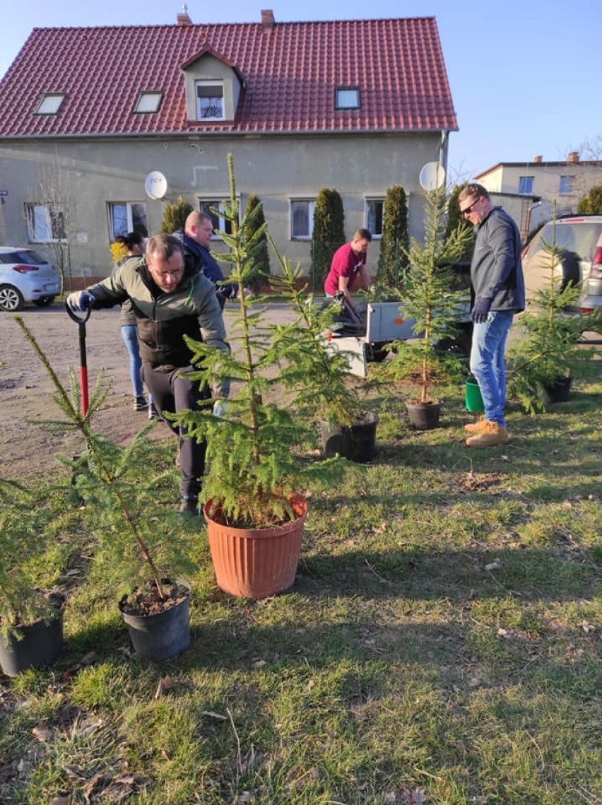 Zbąszyń. Plac zabaw przy "Skwerku pod Morwami" na ulicy...