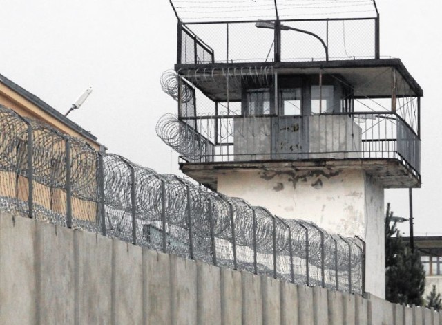 Legnickie Pole: Wyszedł z więzienia i znów się znęcał