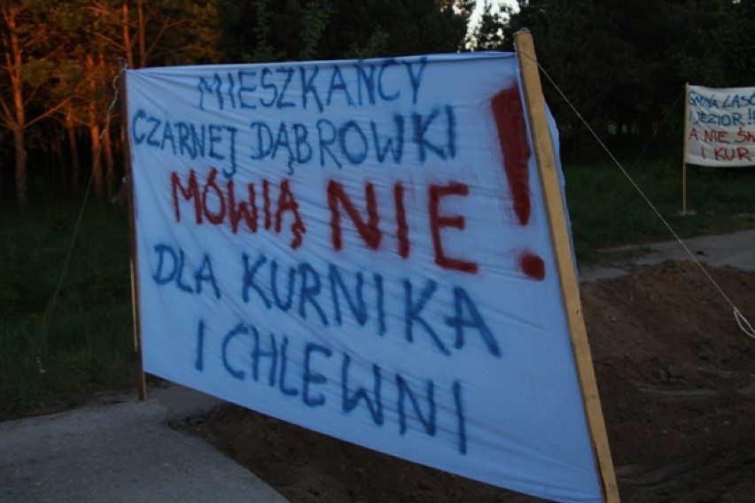 Mieszkańcy Czarnej Dąbrówki protestują przeciwko hodowli świń we wsi. Blokują drogę [ZDJĘCIA] 