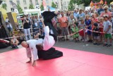 Metropolitalne Święto Rodziny w Tychach. Pokazy aikido, tańca oraz mnóstwo atrakcji ZDJĘCIA