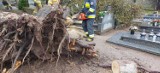 Wichura w Pucku i powiecie puckim (17.02.2022): powalone drzewa, konary, zalana ulica, poderwany dach | NADMORSKA KRONIKA POLICYJNA