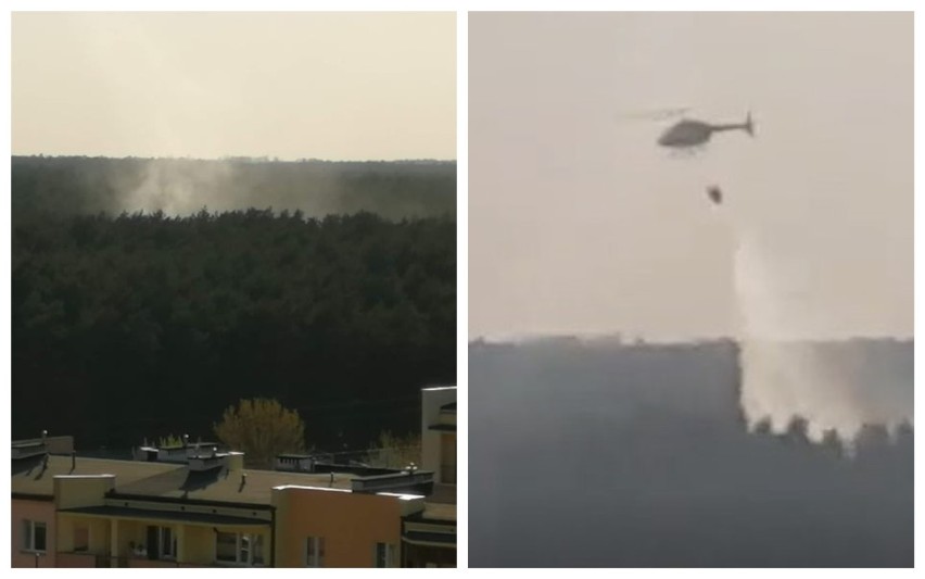 Pożar lasu na Zazamczu we Włocławku. Helikopter bierze udział w akcji [zdjęcia, wideo]