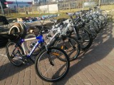 Ogromny wybór rowerów na giełdzie w Sandomierzu. Zobacz, jakie modele można było kupić w sobotę, 26 marca. Zobacz zdjęcia 
