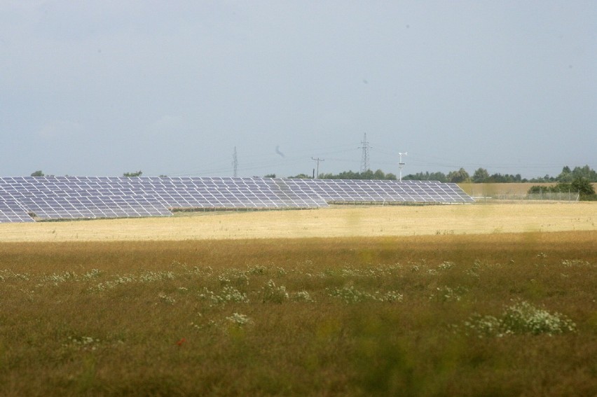 Budowa farmy solarnej pod Legnicą (ZDJĘCIA)