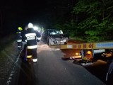 Sarna na drodze i kolizja gotowa. W gminie Miedźno auto najechało na drugie 