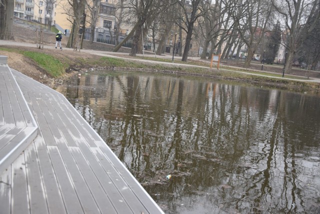 Tak wygląda staw od strony ul. Kosynierów Gdyńskich.