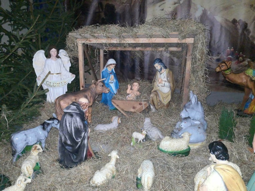 Szopka bożonarodzeniowa w kościele Niepokalanego Poczęcia...