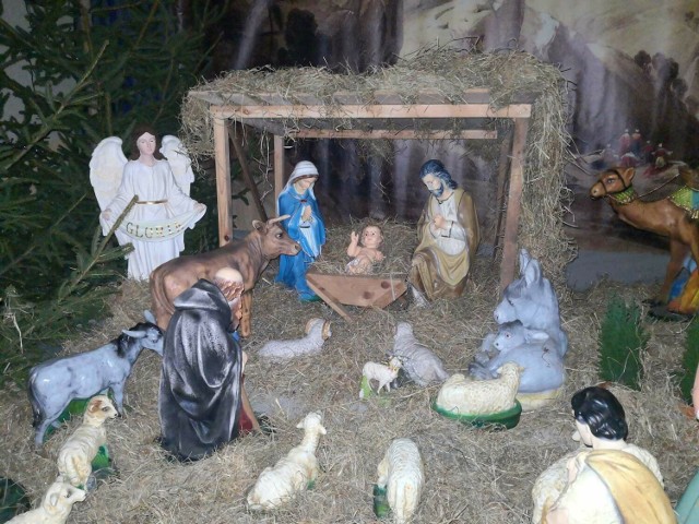 Szopka bożonarodzeniowa w kościele Niepokalanego Poczęcia Najświętszej Maryi Panny w Busku-Zdroju. >>>Więcej zdjęć na kolejnych slajdach.