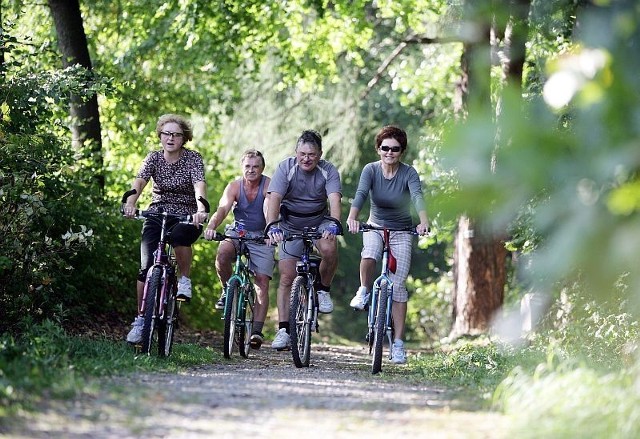 Wycieczka rowerowa po Kampinosie to dobry sposób na aktywne spędzenie wolnego czasu.