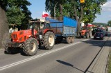 Protest rolników: Ciągnikami rolnicy paraliżowali ruch na ulicach Kwidzyna [ZDJĘCIA]