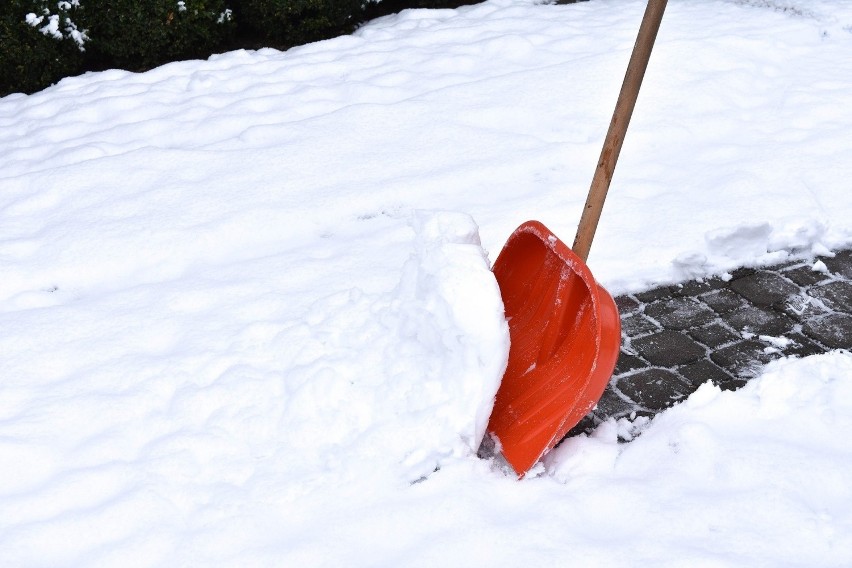Po obfitych opadach śniegu uprzątnijmy go także z ogrodowych...
