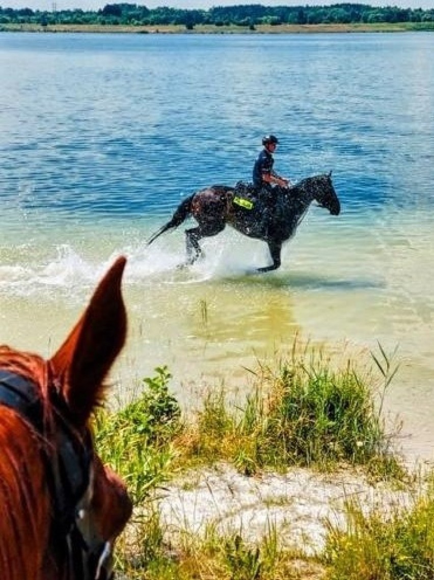 Pierwsze konne patrole pojawiły się nad jeziorem Pogoria IV,...