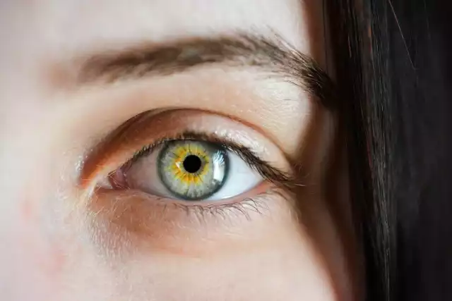 Piwne, zielone, czy niebieskie - co mówi o Tobie kolor oczu? Można z nich  wyczytać naprawdę wiele! | Gorzów Wielkopolski Nasze Miasto