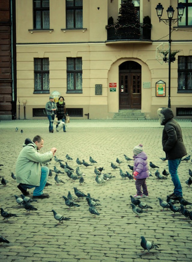 Z gołębiami można zrobić sobie rodzinne zdjęcie, np. na Rynku Staromiejskim / Fot. Łukasz Kołtacki