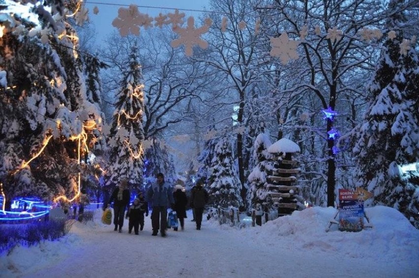 Park Św. Mikołaja w  Zatorze