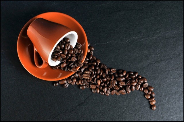 Wielu z nas nie wyobraża sobie poranka bez "małej czarnej". Oczywiście w piciu filiżanki kawy dziennie nie ma raczej nic złego, ale gdy już przesadzimy z ilością spożycia kofeiny, to może się to na nas odbić bardzo negatywnie.

Kawa przede wszystkim może nas pobudzić i pomóc w skoncentrowaniu się, ale ma też wiele skutków ubocznych. Picie kilku filiżanek lub szklanek kawy dziennie może odbić się na naszym zdrowiu.

Zobacz, co dzieje się z organizmem, gdy pijemy za dużo kawy. Takie są jej skutki uboczne. Szczegóły przedstawiamy na kolejnych stronach ---->