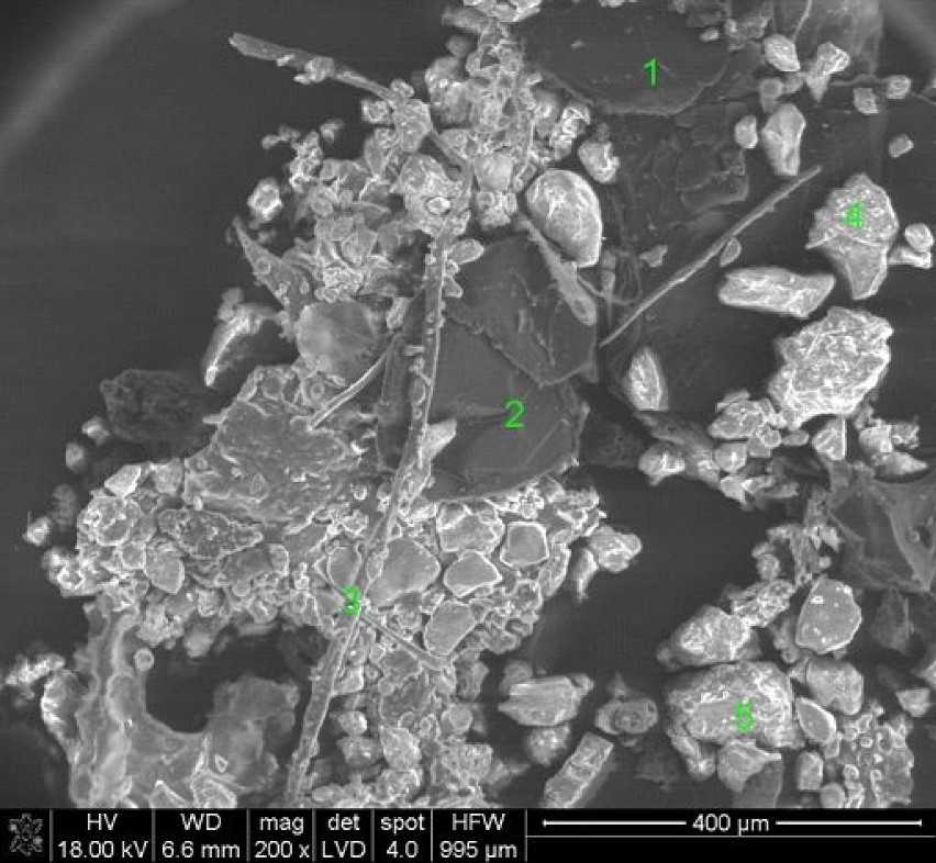 Typowy obraz mikroskopowy pyłu zebranego na terenie Nowej...