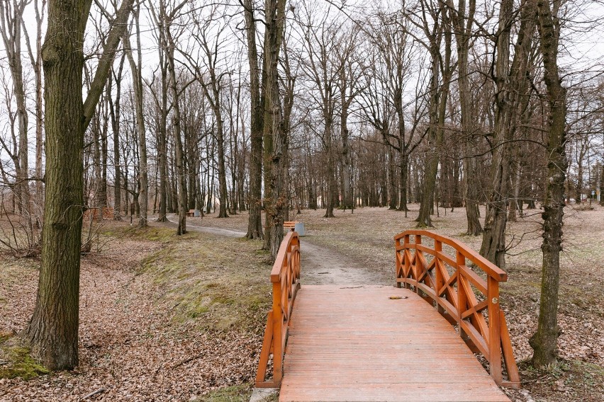 Tak wygląda park na osiedlu Miłocin w Rzeszowie [ZDJĘCIA]