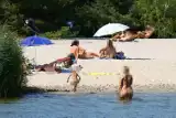 Dzika plaża naturystów w Swolszewicach nad Zalewem Sulejowskim jest bardzo popularna. Plaża nudystów nad Zalewem Sulejowskim 