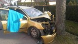 Dwie osoby zostały ciężko ranne w wypadku w Dąbrówce Dolnej pod Namysłowem [zdjęcia]
