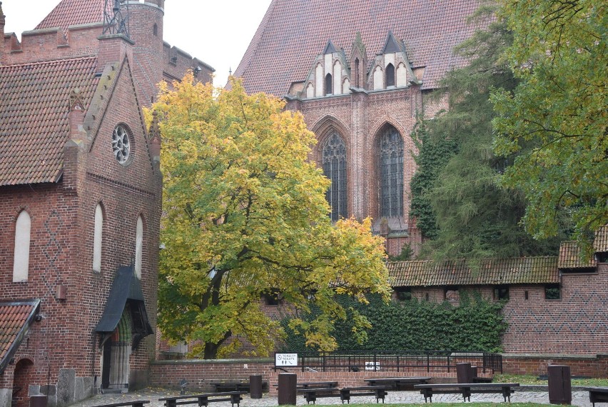 Malbork. Zamek w jesiennej szacie. Warto przejść się "Trasą zieloną" o tej porze roku