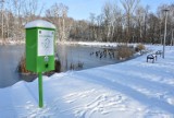 Pierwszy kaczkomat w Tarnowie już jest! Automat z karmą dla ptaków stanął przy stawie w Parku Piaskówka. Mamy zdjęcia i WIDEO!