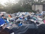 Poznań: Dzikie wysypisko śmieci na Podolanach. Pod odpadami zakopane trzy wraki [ZDJĘCIA]