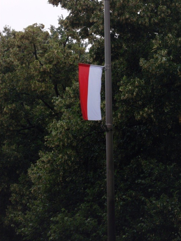 Flagi Polski czy flagi Monako wiszą przy ul. Żwirki i Wigury? Zależy, od której strony patrzysz