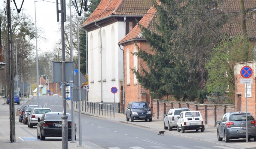 Malbork. Msza św. w Wielką Niedzielę w kościele Matki Boskiej Nieustającej Pomocy [ZDJĘCIA, FILM]. "Nie wolno nam nigdy tracić nadziei"