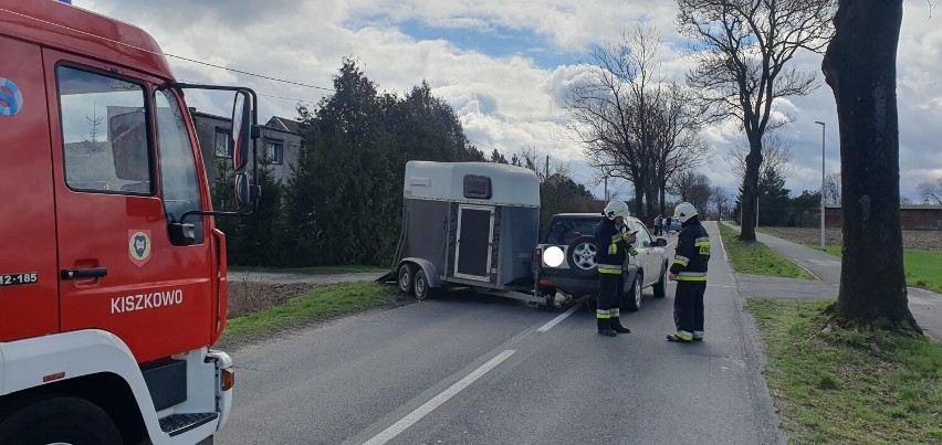 Zderzenie samochodów w Węgorzewie. W wypadku brał udział koń!