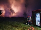 Silno koło Torunia. Kolejny duży pożar w historycznym miejscu. Co tym razem strawiły płomienie? [Zdjęcia]