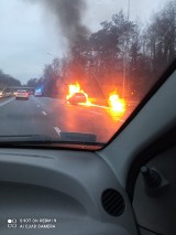 Dramat na DK88 między Gliwicami a Zabrzem - auto stanęło w płomieniach. Szczęśliwie nikomu nic się nie stało!
