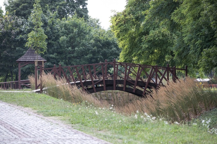 Park Dębnicki, najbardziej kwietny park Krakowa [GALERIA]