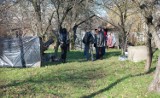 Łódź: grusza zabiła starszą panią