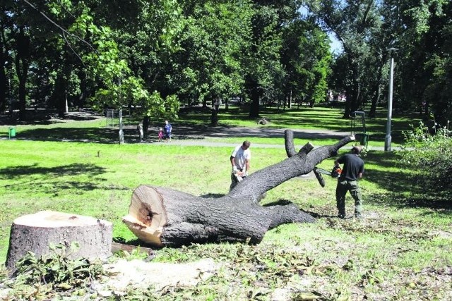 Rewitalizacja podgórskiego parku zaczęła się od wycinki