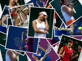 Gwiazdy Tenisa w Spodku: Zobacz zdjęcia tenisistek