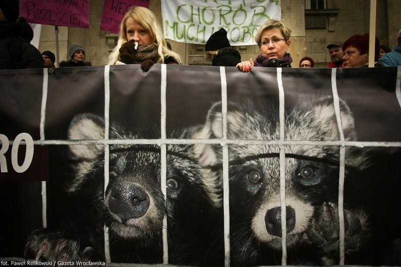 Protest przeciw fermie norek: Wrocław europejską stolicą tortury (ZDJĘCIA)