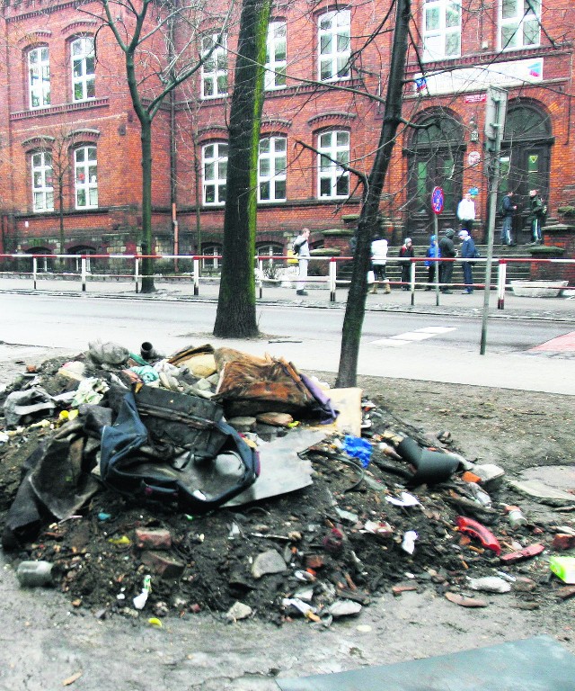 Chorzów - przy ulicach pełno śmieci, a i park wojewódzki nie zachęca do spacerów