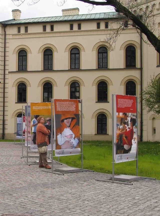 Wystawa cieszy się w Żywcu  zainteresowaniem