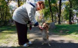 W Sosnowcu psy mogą szczekać i wyć do woli