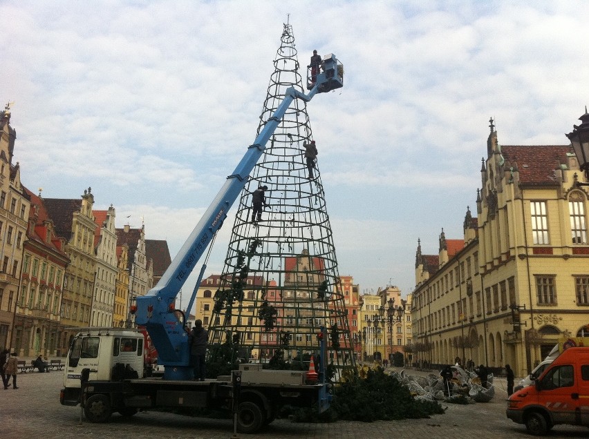 Ostatni dzień choinki w Rynku (ZOBACZ ZDJĘCIA)