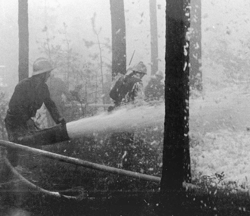 Pożar stulecia gasiło 4700 strażaków zawodowych i ochotników...