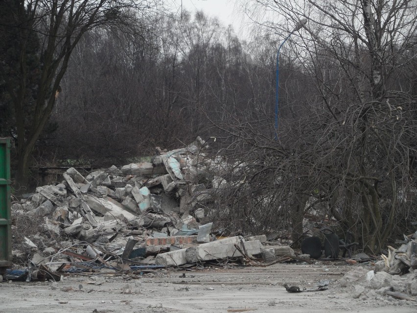 Kąpielisko Fala w Parku Śląskim wyburzane? Będzie mniejsze [ZDJĘCIA]