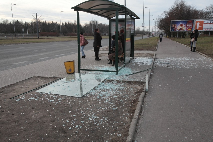 Wandale zniszczyli przystanki MPK na ul. Przybyszewskiego [ZDJĘCIA]