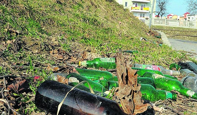 Zdjęcie śmieci pochodzi  z okolic ulicy Willowej