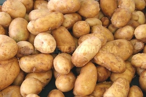 Pyry (ziemniaki)