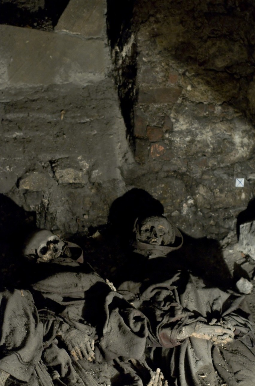 Szkielety z krypt klasztoru Reformatów. Zdjęcia wykonano w...